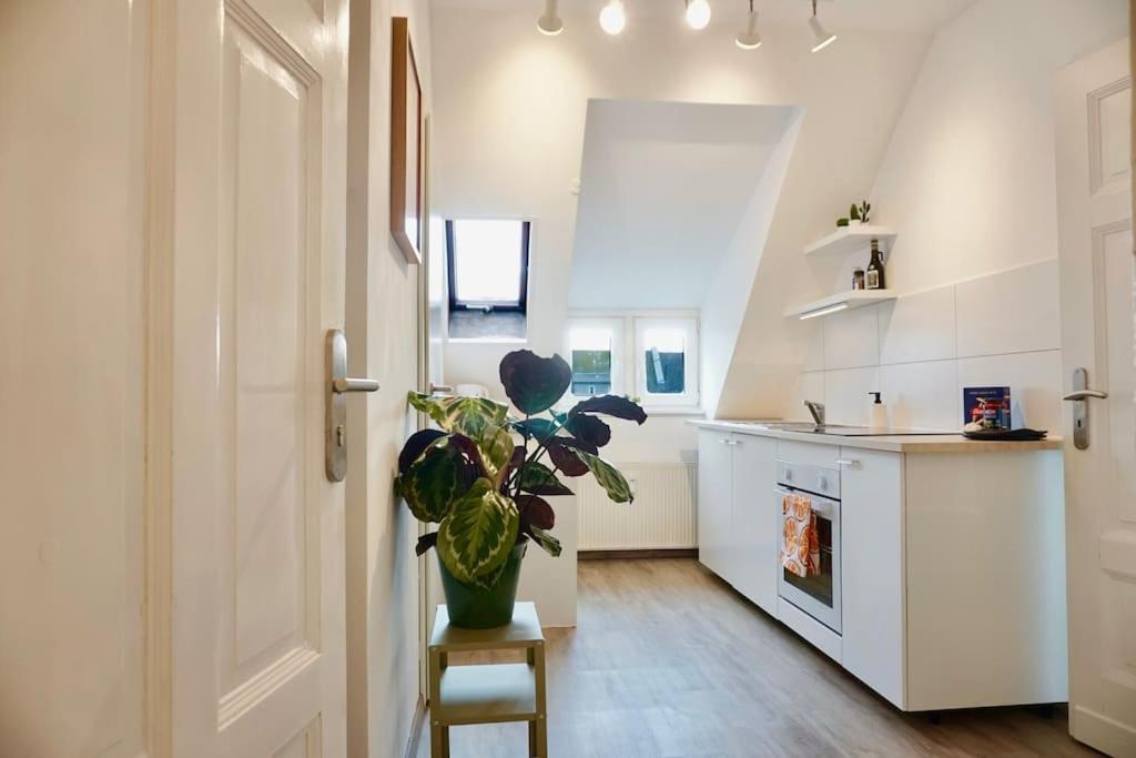 Neu I Moderne Zentrale Wohnung I Netflix I 4 Gaeste Andernach Exterior photo